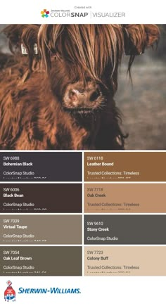 the color scheme for this cow is brown