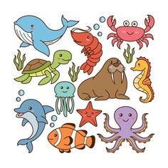 an image of sea animals and marine creatures