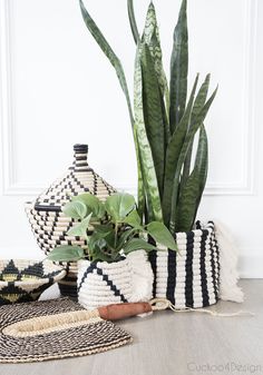 a potted plant sitting on top of a wooden table next to two woven baskets