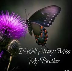 a purple flower with a butterfly on it and the words i will always miss my brother