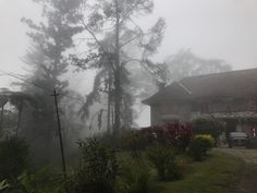 a house in the fog with trees and bushes around it on a hill near a road