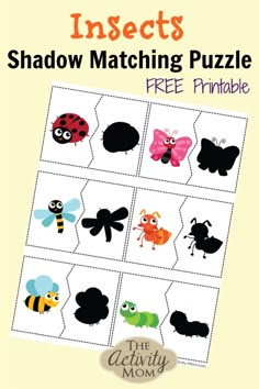 insects shadow matching puzzle with free printable