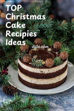 a christmas cake with chocolate frosting and pine cones on top