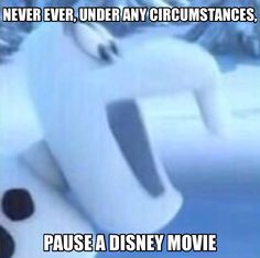 an image of a white polar bear in the snow with caption saying never, under any circumstances, pause a disney movie