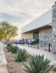 an outdoor patio with chairs and succulents on the ground near a stone wall