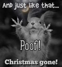 a squirrel with its hands up and the words poof christmas gone written on it