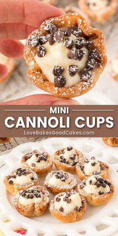 Mini Cannoli Cups pin collage Mini Canolli Cups, Mini Cannoli Bites, Easy Desserts To Take To A Party, Christmas Cup Desserts, Easy Canolis Recipe, Desert Appetizer Recipes, Thanks Giving Desert Ideas, Christmas Desserts Easy Party, Sweet Appetizer Recipes