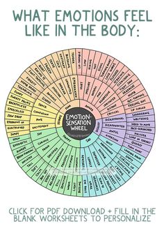 a wheel diagram with the words emotion and feelings on it