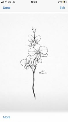 an image of a flower drawn in pencil on the app store's facebook page