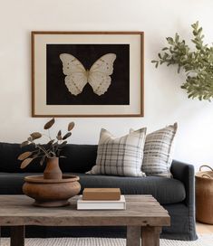 a living room with a couch, coffee table and framed butterfly artwork on the wall