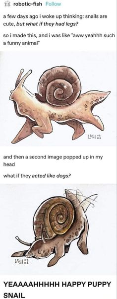 two pictures of snails with caption that reads, what do they say? and then when