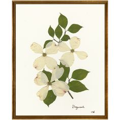 a painting of white flowers with green leaves