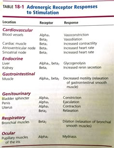 Adrenergic Receptor Responses to Stimulation