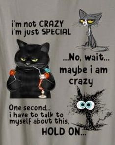 a t - shirt with an image of two cats and one cat saying i'm not crazy i'm just special