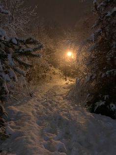 a snow covered path with a street light in the distance and trees on either side