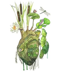 This Watercolor Paintings item by TheColorfulCatStudio has 288 favorites from Etsy shoppers. Ships from Dillsburg, PA. Listed on Sep 12, 2023 Anatomical Heart Painting, Bel Art, Art Mignon, Watercolor Heart, Anatomical Heart, Heart Painting, Arte Inspo, Sketchbook Art Inspiration, Dragonflies