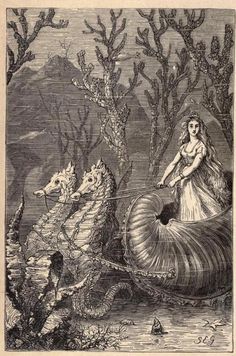 an old illustration of a woman in a boat surrounded by sea animals and corals