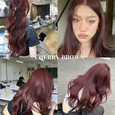 Hair Colors On Asian Hair, Burgundy Colored Hair, What Color Should I Dye My Hair Brown, Mahoney Hair Color, Cherry Brown Hair Aesthetic, Red Cool Tone Hair, Red Hair On Light Brown Hair, Light Cherry Cola Hair Color, Cherry Brown Red Hair