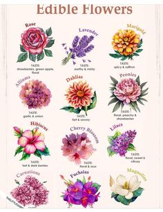 an image of flowers that are edible in the garden and labeled with their names on them