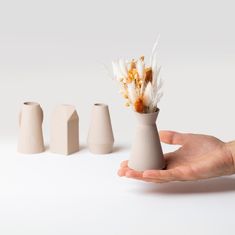 a hand holding a small vase with flowers in it and three smaller ones behind it