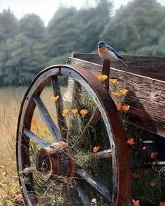 an old wooden wagon with butterflies on it and the words exelente dad written in orange