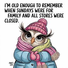 an owl wearing a hat and scarf with the words i'm old enough to remember when