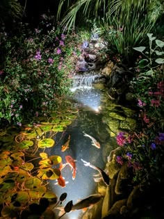 a pond filled with lots of water surrounded by lush green plants and flowers at night