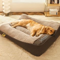 a dog laying on top of a bed in the middle of a living room next to a window