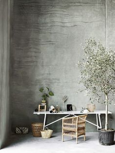 a white table topped with a tree next to a chair and potted plant on top of it