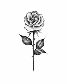 Tattoo Design Black And Grey, Black And Grey Rose Tattoo, Rose Neck Tattoo, Geometric Rose Tattoo, Rose Tattoo Stencil, Realistic Rose Tattoo, Rose Tattoos For Women, Rose Tattoos For Men, Small Rose Tattoo