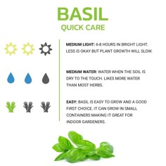 basil quick care poster with instructions on how to use it