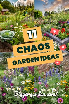 the words 11 chaos garden ideas are overlaid by colorful flowers