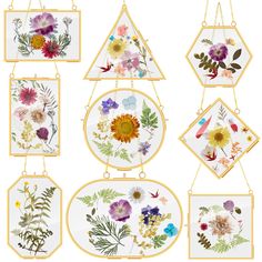 six floral paintings hanging on the wall with gold frame and metal chain, each featuring different flowers