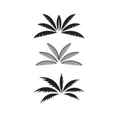 three black and white palm trees on a white background, each with two different leaves