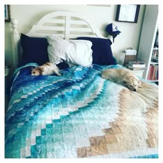 two dogs laying on top of a bed next to each other