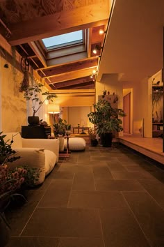 an indoor living area with couches and potted plants on the floor, in front of a skylight