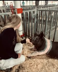 a woman kneeling down to pet a pig