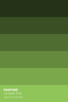 the pantone green color is shown in this image, it appears to be very dark