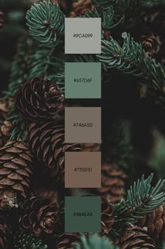 Dark Hunter Green Color Palette, Hunter Green Color Palette Living Room, Dark And Light Color Combinations, Mountain Color Palette Nature, Pine Forest Color Palette, Interior Design Swatch Boards, Green Color Combinations Interior, Nature Inspired Paint Palettes, Pine Tree Color Palette