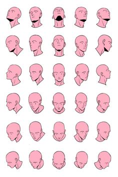 a bunch of different types of head shapes