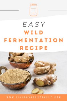 the recipe for wild fermentation is shown with ginger and ginger root in bowls