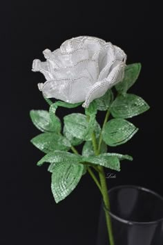 a single white rose in a glass vase