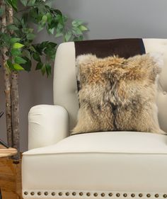 a white chair with a brown and black pillow on it next to a potted plant