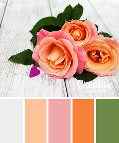 some pink roses and green leaves on a white wooden surface with color swatches in the background