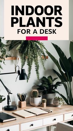 a desk with plants on it and the words indoor plants for a desk