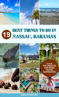 the top ten things to do in masauu, bananas and other tropical destinations