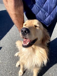 a close up of a dog with its mouth open and his owner's leg in the background