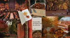 a collage of photos with pumpkins, books and an old car in the background