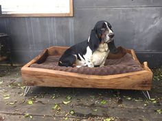 a black and white dog laying on top of a wooden bed