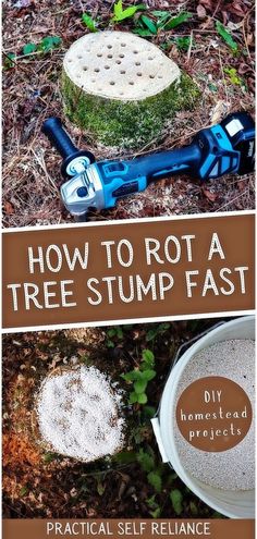 how to rot a tree stump fast by practical self reliance instructions for beginner gardeners